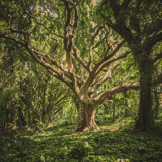 Psycholog kliniczny & psychoterapeutka